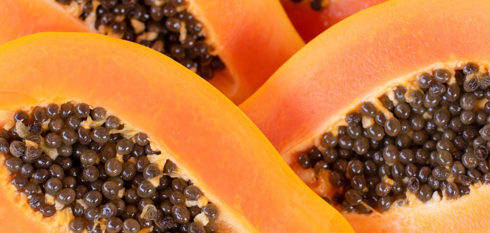 Papaya